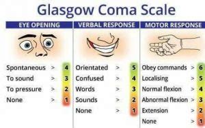 The Glasgow Coma Scale Free Trial - Pass The OT