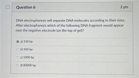 Solved DNA electrophoresis will separate DNA molecules | Chegg.com