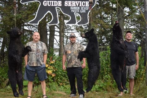 Bear Hunting Update 2017 – Foggy Mountain Guide Service