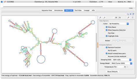 RNA/DNA secondary structure fold viewer