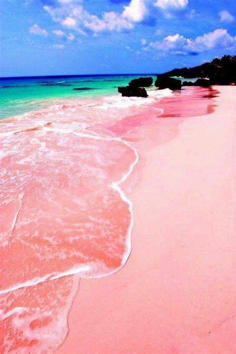 Pink sand beach harbour island, Bahamas | Pink sand beach, Harbour ...