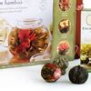 $20.99 for a Numi Organic Tea Flowering Gift Set | Groupon