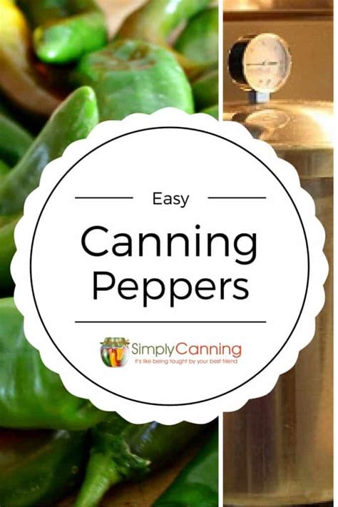 Canning Plain Peppers – Add quick spice to chili, soups, and omelettes!