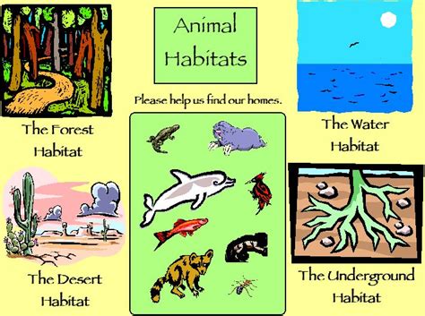 Animal Habitats