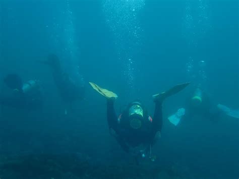 Scientists Identify Mystery of 17th Century Shipwreck