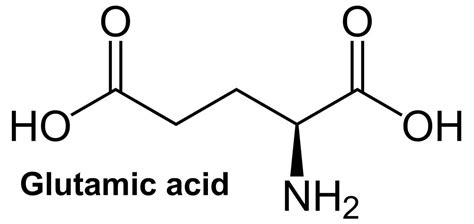 Glutamic Acid | Chandigarh Ayurved & Panchakarma Centre