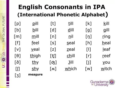 PPT - English Consonants in IPA (International Phonetic Alphabet ...