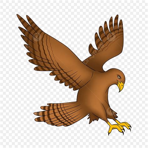 Peregrine Falcon PNG Transparent Images Free Download | Vector Files ...