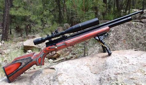 Best .22 Hunting Air Rifles.What is the best .22 pellet Rifle for hunting?