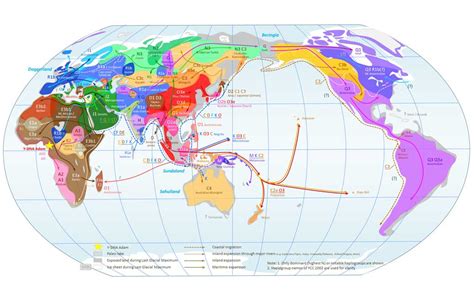 Despite Xenophobia, One Measure of Our Genetic Diversity Continues to ...