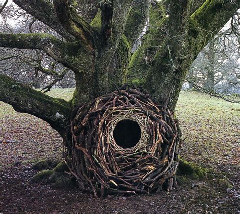 Andy Goldsworthy’s Land Art Photography - IGNANT