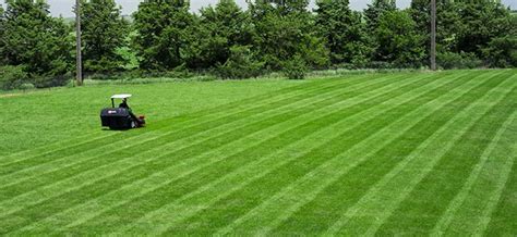 Lawn Striping: How to Mow Stripes and Patterns | Exmark Blog