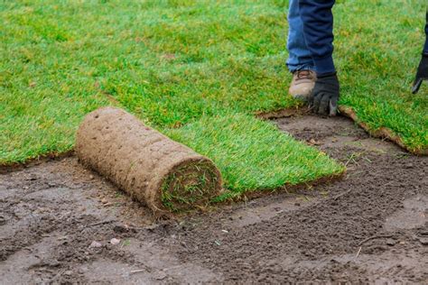 How To Lay Sod: Quick and Easy Guide to Installing a New Lawn ...