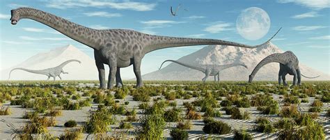 A Herd Of Diplodocus Sauropod Dinosaurs Photograph by Mark Stevenson ...