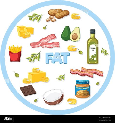 Variety of fat foods illustration Stock Vector Image & Art - Alamy