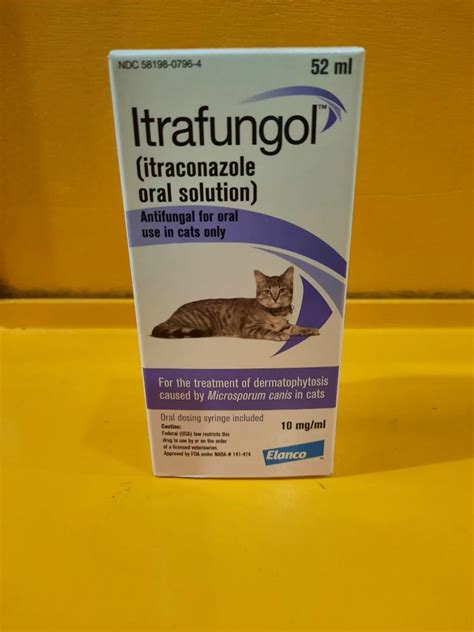 Itrafungol Oral Solution for Cats 52ml, Pet Supplies, Health & Grooming ...