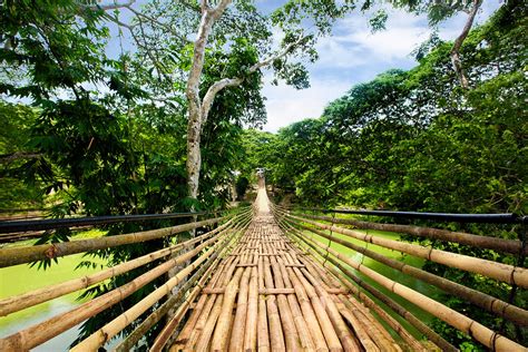 BAMBOO FOOTBRIDGE OF BOHOL | The Bamboo Hanging Bridge cross… | Flickr