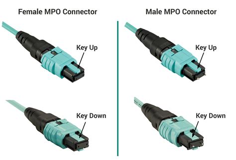 注目ショップ・ブランドのギフト ImportSelectionom4 MTP MPO LC 8ファイバーBreakoutケーブル100 g ...