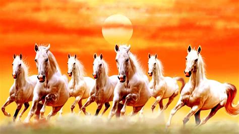 Bộ sưu tập 500 7 white galloping horses with rising sun in the ...