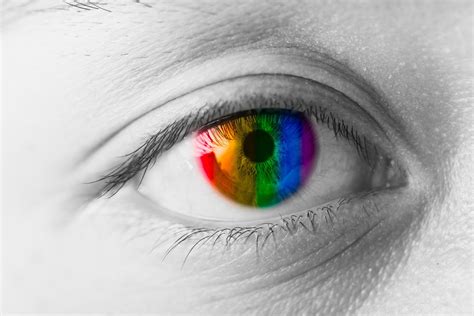 High-Tech Contact Lenses Correct Color Blindness