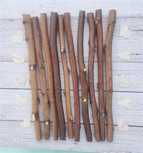 10 Small Birch Craft Logs 12 Sticks for Decor Projects Wall Hanging Art ...