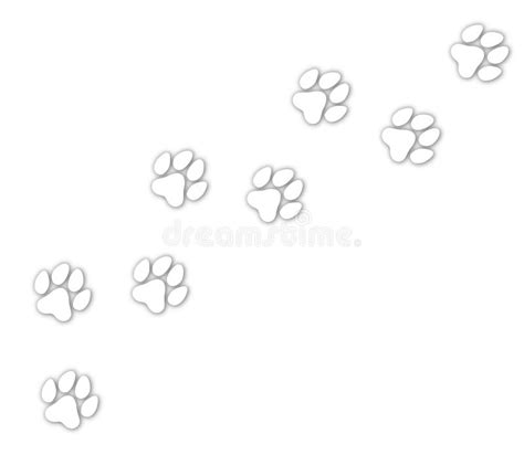 Paw Print Trail Vector Illustration on White Background Stock Vector ...