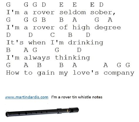 I'm A Rover Seldom Sober Sheet Music with tin whistle notes - Irish ...