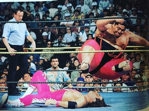 Yokozuna vs Bret Hart | Wrestling wwe, Wwe wrestlers, Wwe legends