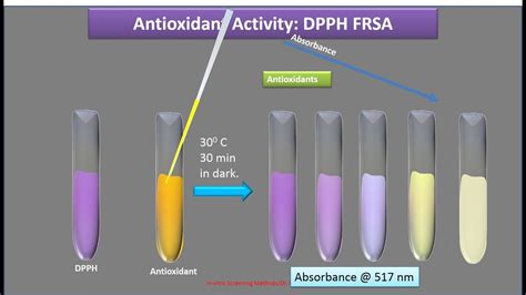 Standard Procedure For Dpph Assay at Valorie Smith blog