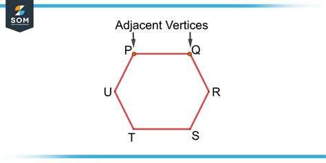 Vertices | Definition & Meaning