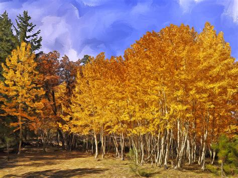 Aspen Trees in Autumn Painting by Dominic Piperata - Fine Art America