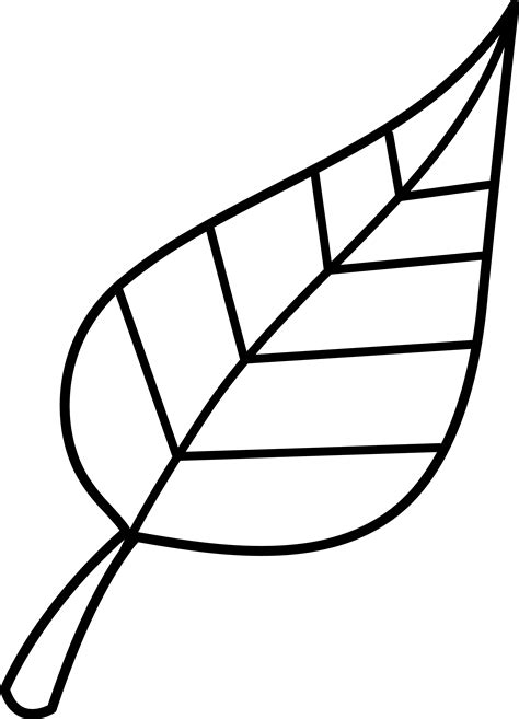 Leaf outline fall leaves outline clipart 3 - WikiClipArt