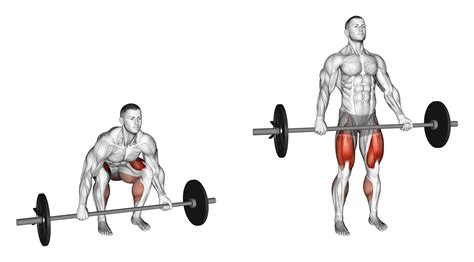 8 Best Types of Deadlift Variations (with Pictures!) - Inspire US