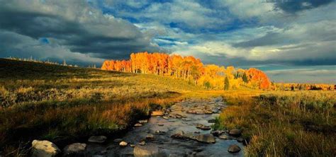 Duck Creek Village, Utah - Alchetron, the free social encyclopedia