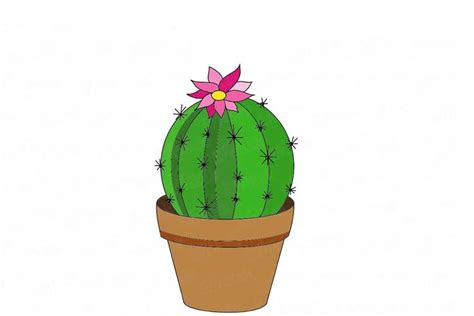 Cactus drawing: Simple, Easy, Realistic and with Flower