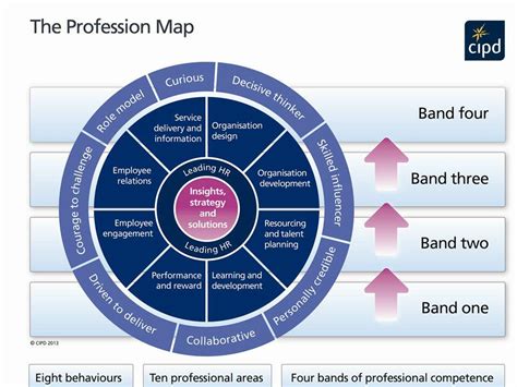 The Effective HR Professional - 3384 Words | Essay Example