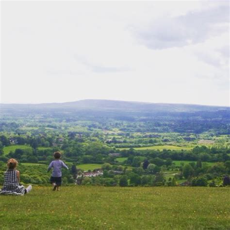 Exploring Reigate Hill – the joy of five