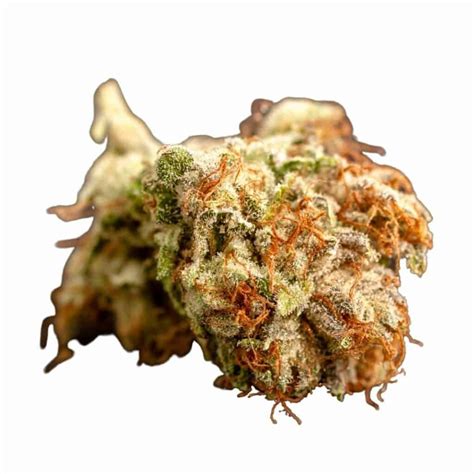 Zaza Strain: Effects, Reviews, & More - Hail Mary Jane