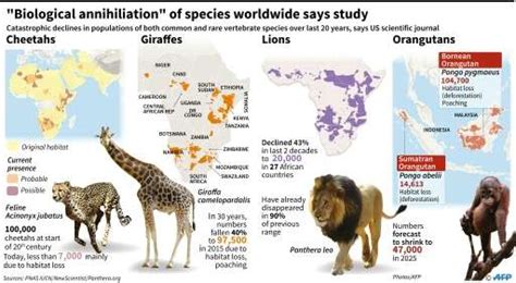 Extinction : Extinction Definition Examples Britannica / When a species ...