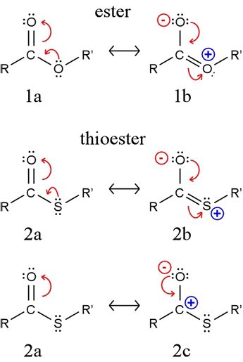 Thioester - Alchetron, The Free Social Encyclopedia