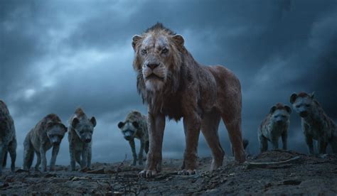 Scar The Lion King 2019, HD Movies, 4k Wallpapers, Images, Backgrounds ...