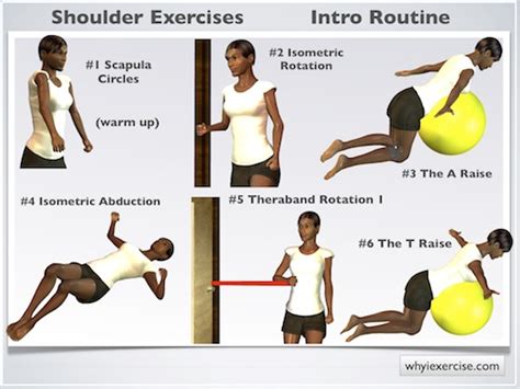 Exercises To Strengthen The Shoulder Joint - Exercise Poster