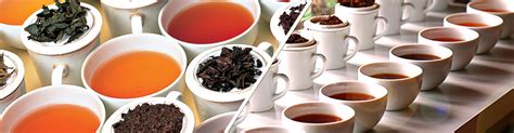 Tea Exporters Association Sri Lanka (TEA)