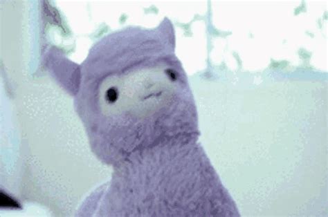 Llama Rickroll GIF - Llama Rickroll Llamatroll - Discover & Share GIFs