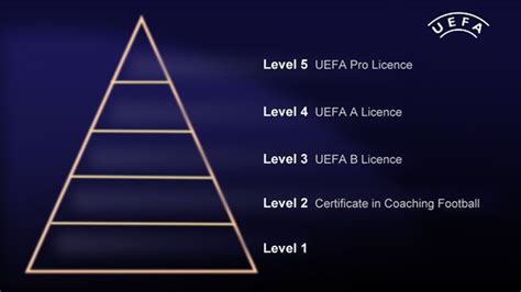 Economics of Sport - The Economics of Sport