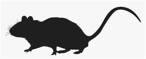 Silhouette Clip Art At - Transparent Background Rat Clip Art, HD Png ...