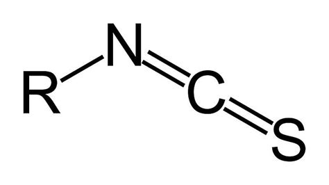 Functional Groups in Organic Chemistry