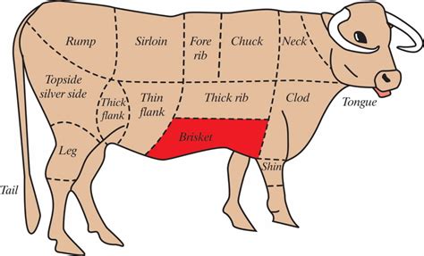 Meat From A Cow Diagram