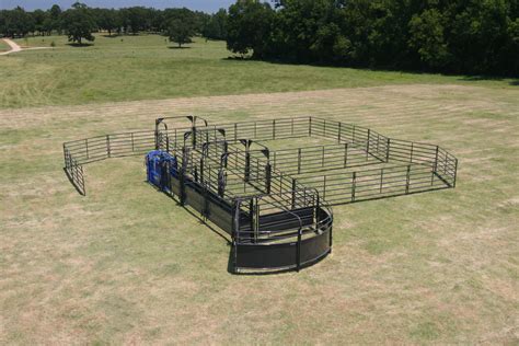 Solid Sweep Corral System for 100 Head | Cattle facility, Cattle ...