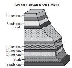 Sedimentary Rock Layers Diagram